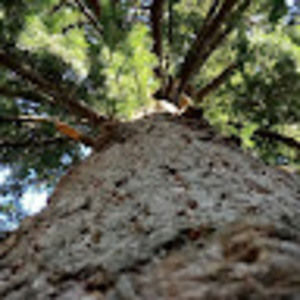 Meet your Posher, Connor